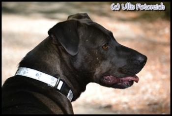 nelli1-portrait